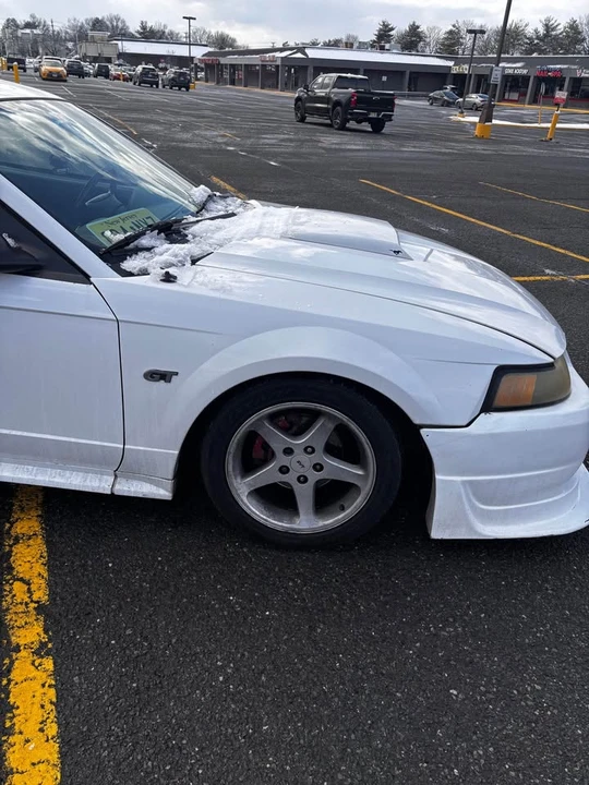 2001 Ford SN95 Mustang - Image 8 of 9