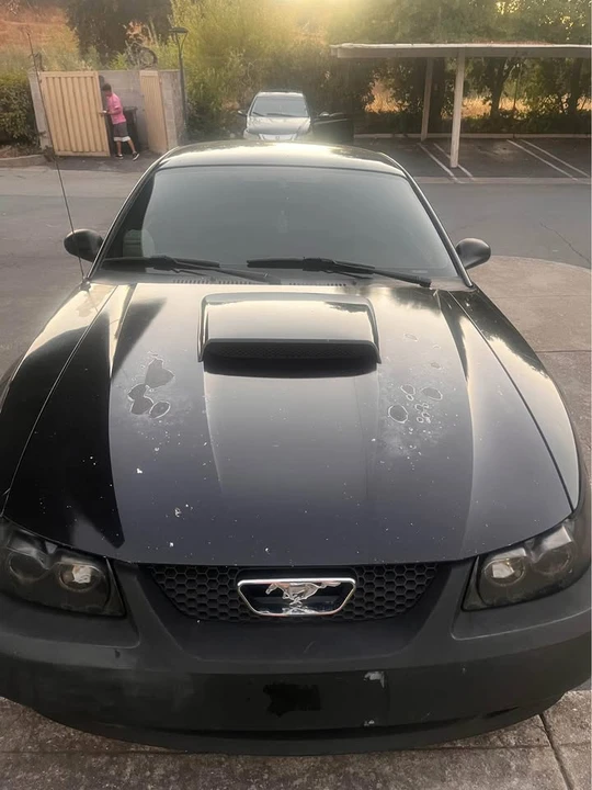 2001 Ford SN95 Mustang - Image 4 of 7