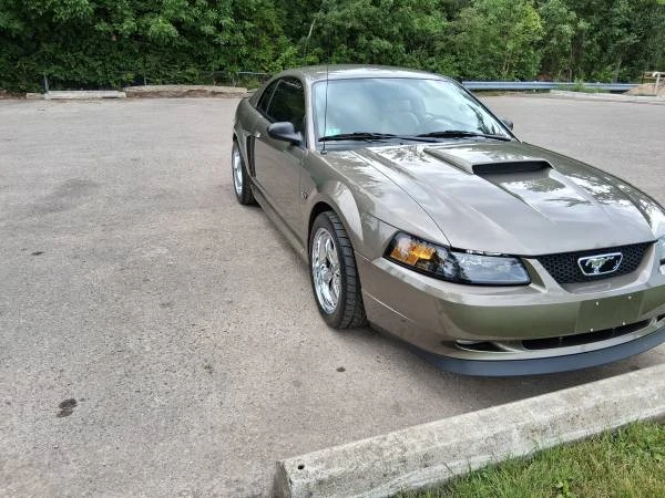 2001 Ford SN95 Mustang - Image 4 of 21