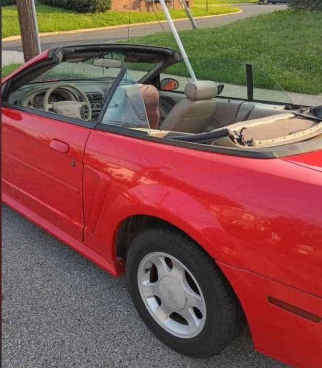 2002 Ford SN95 Mustang - Image 3 of 16