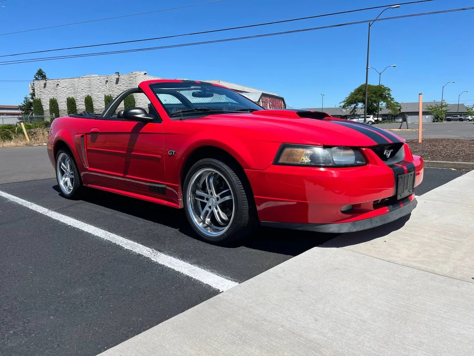 2002 Ford SN95 Mustang - Image 8 of 18