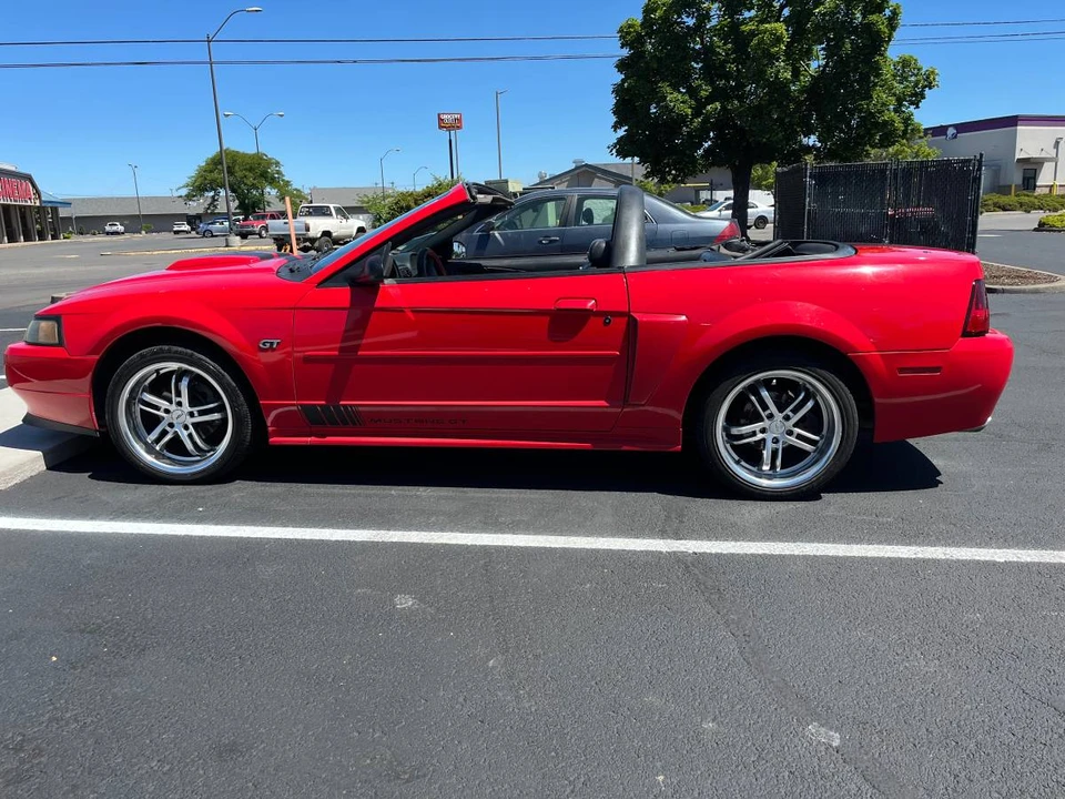 2002 Ford SN95 Mustang - Image 14 of 18