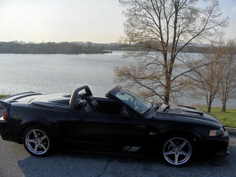 2002 Ford SN95 Mustang - Image 3 of 4