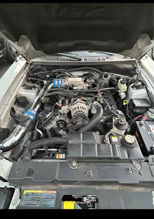 2002 Ford SN95 Mustang - Image 4 of 6