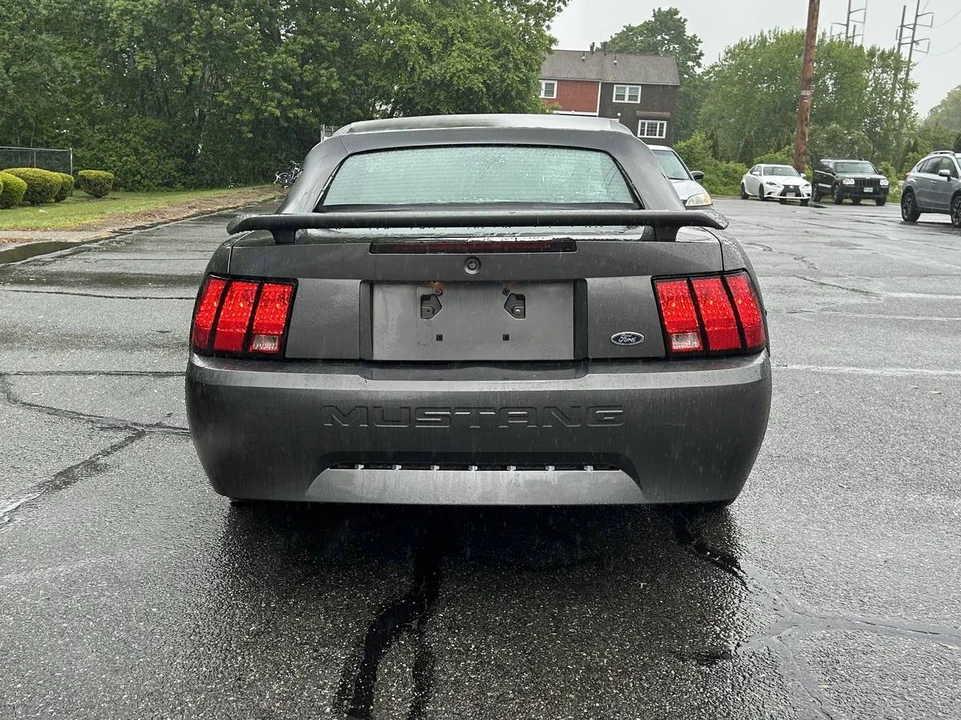 2003 Ford SN95 Mustang - Image 5 of 10