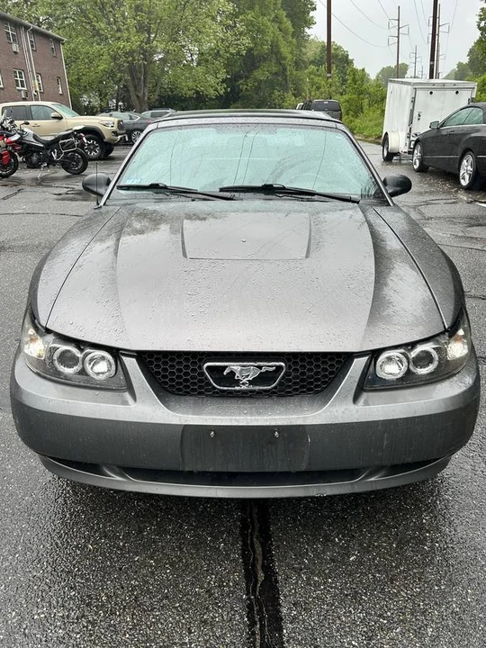 2003 Ford SN95 Mustang - Image 2 of 10