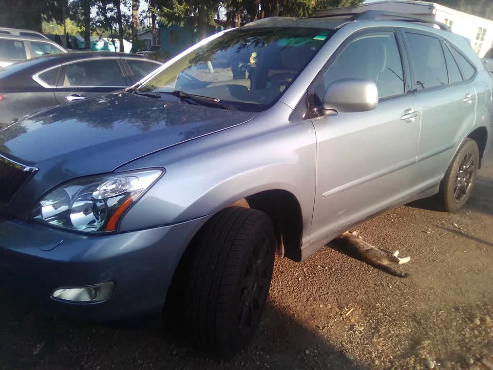 2004 Lexus RX 2nd Gen - Image 3 of 10
