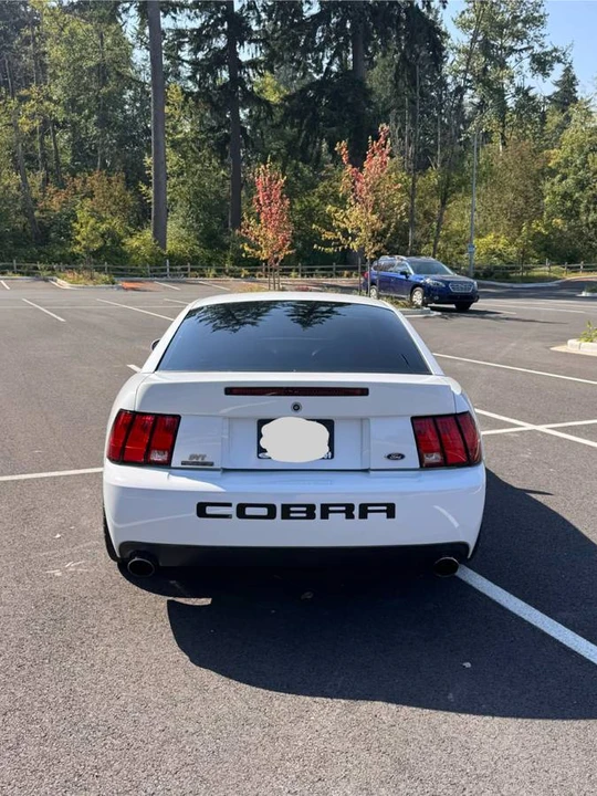 2004 Ford SN95 Mustang Cobra - Image 5 of 18