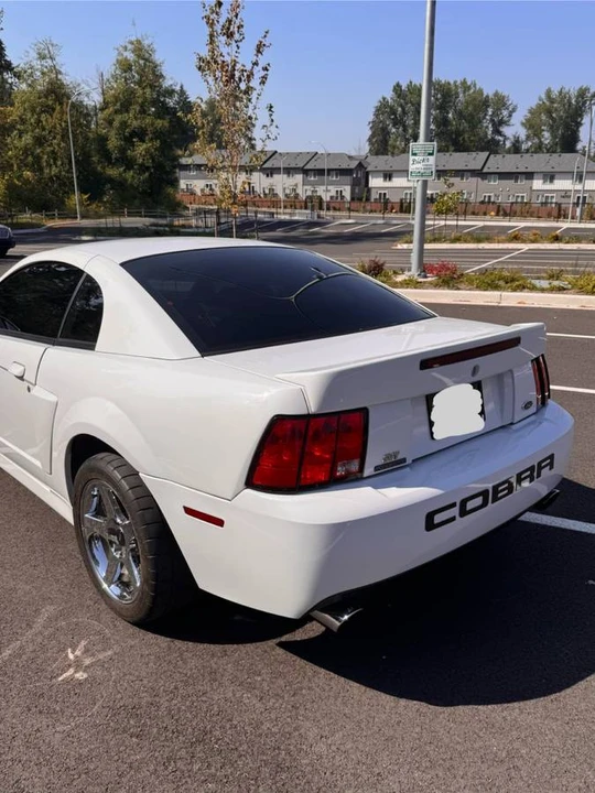 2004 Ford SN95 Mustang Cobra - Image 9 of 18
