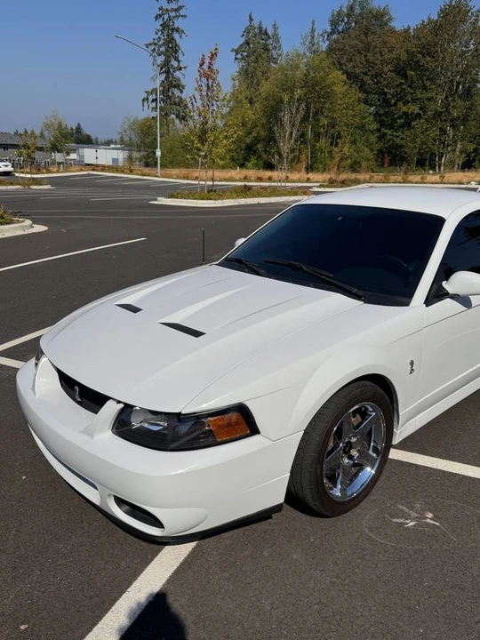 2004 Ford SN95 Mustang Cobra - Image 7 of 18