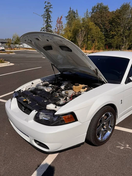 2004 Ford SN95 Mustang Cobra - Image 16 of 18