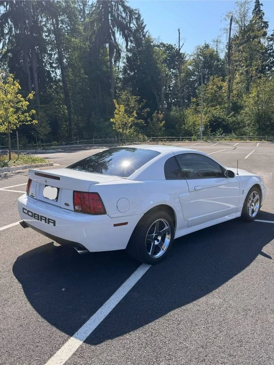 2004 Ford SN95 Mustang Cobra - Image 4 of 18