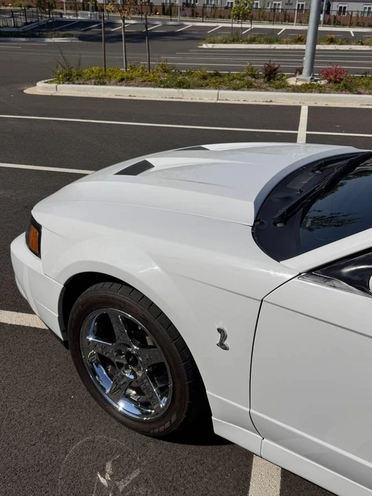 2004 Ford SN95 Mustang Cobra - Image 8 of 18