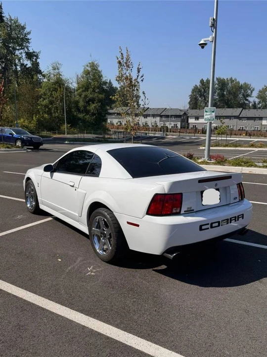 2004 Ford SN95 Mustang Cobra - Image 6 of 18