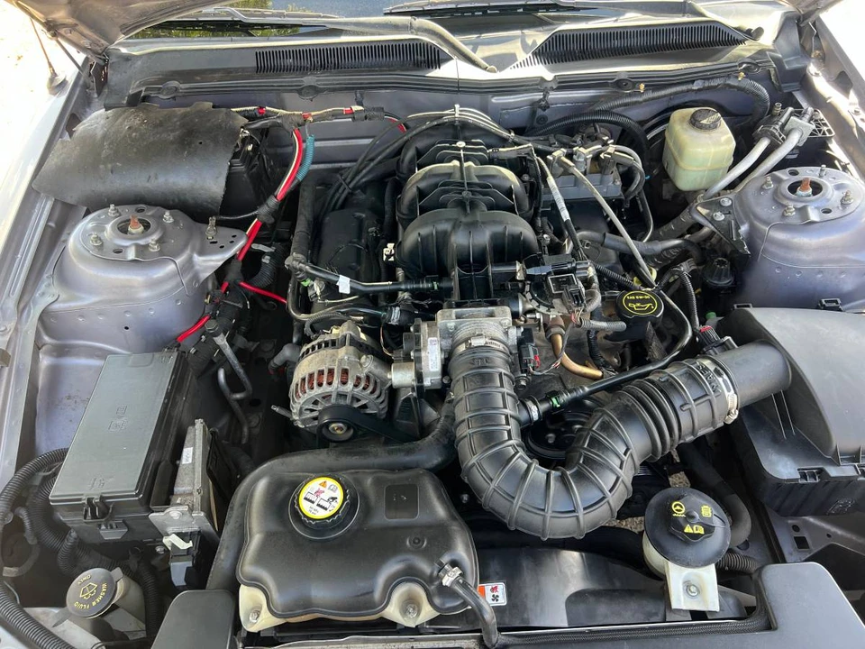 2006 Ford S197 Mustang - Image 8 of 8