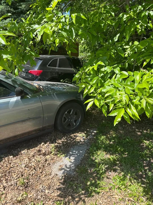 2007 Dodge Charger 6th Gen - Image 6 of 10