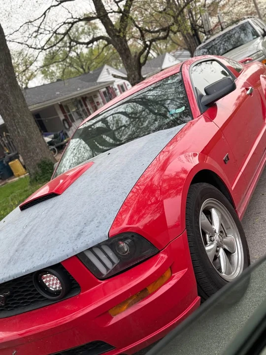 2008 Ford S197 Mustang - Image 7 of 10