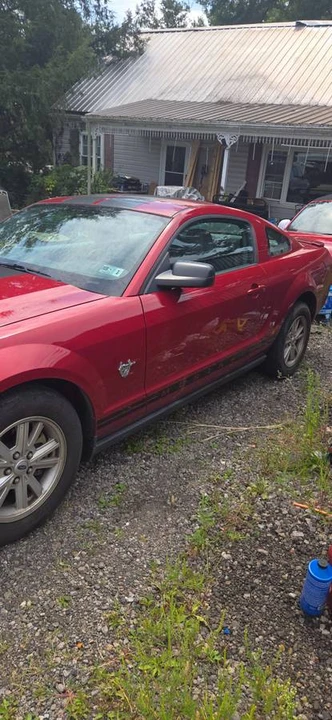 2009 Ford S197 Mustang - Image 2 of 15