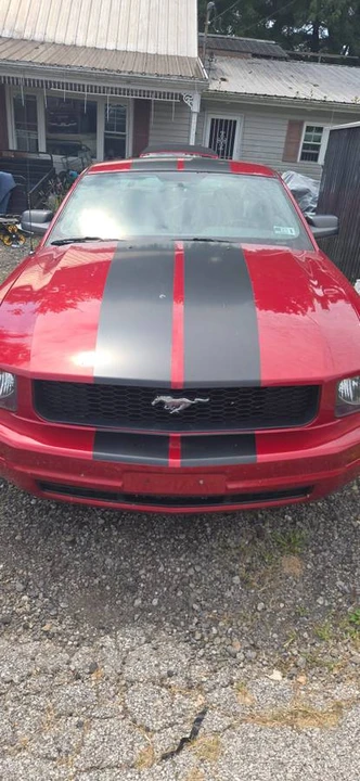 2009 Ford S197 Mustang - Image 4 of 15