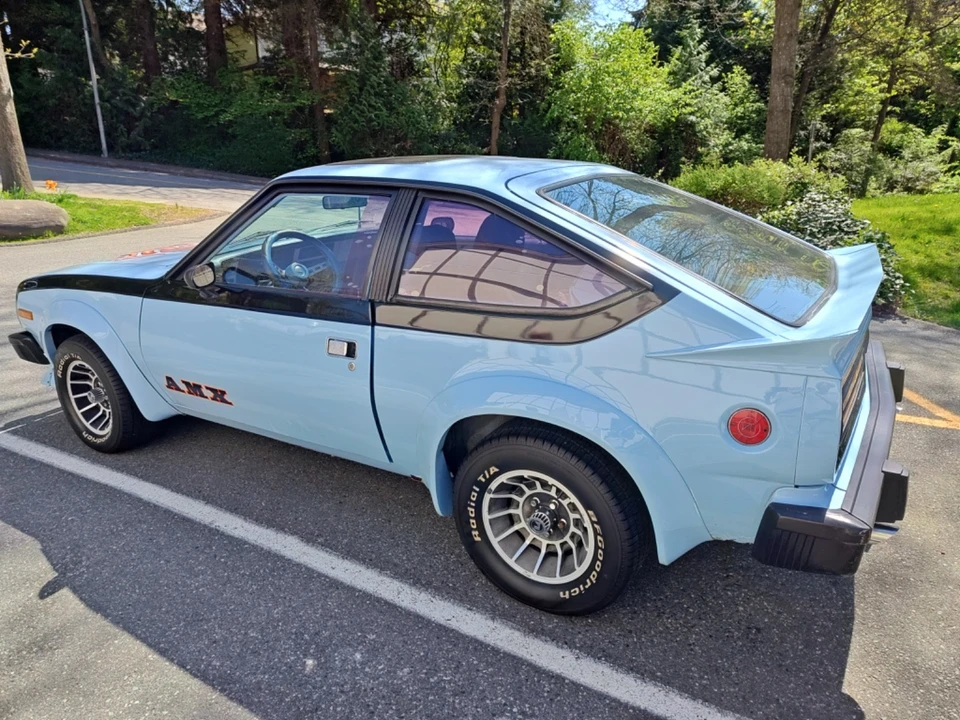 1979 AMC AMX - Image 4 of 24
