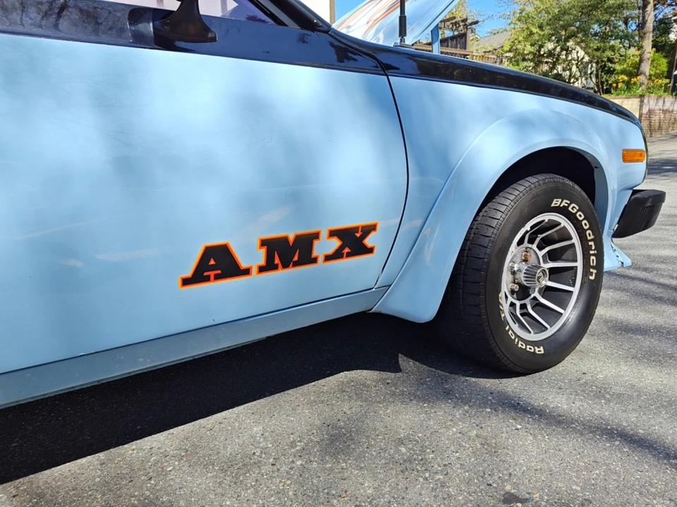 1979 AMC AMX - Image 19 of 24
