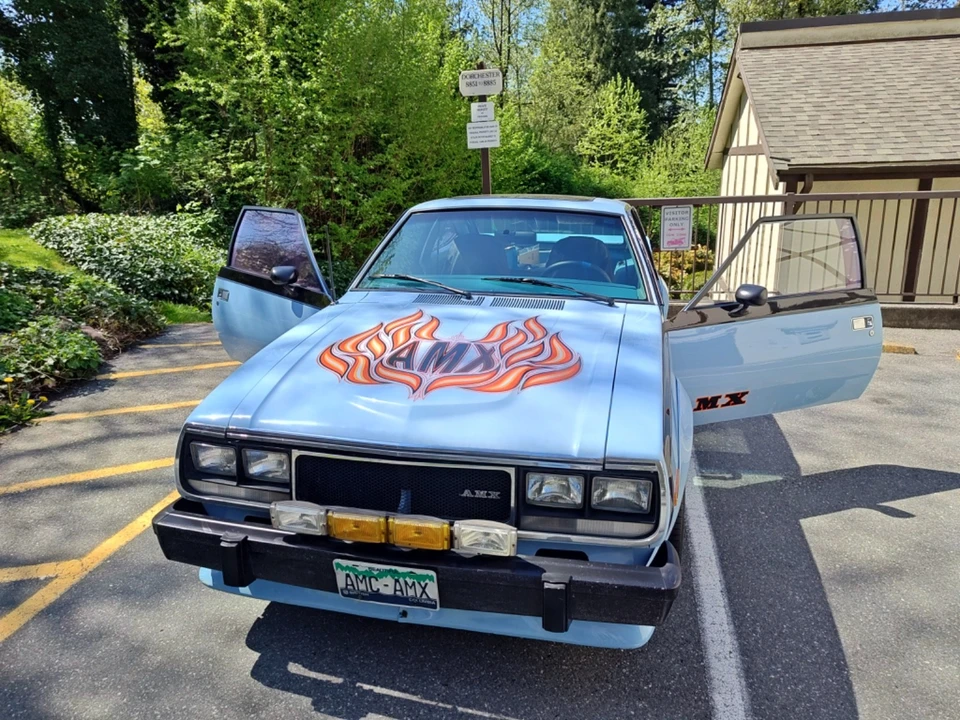 1979 AMC AMX - Image 14 of 24