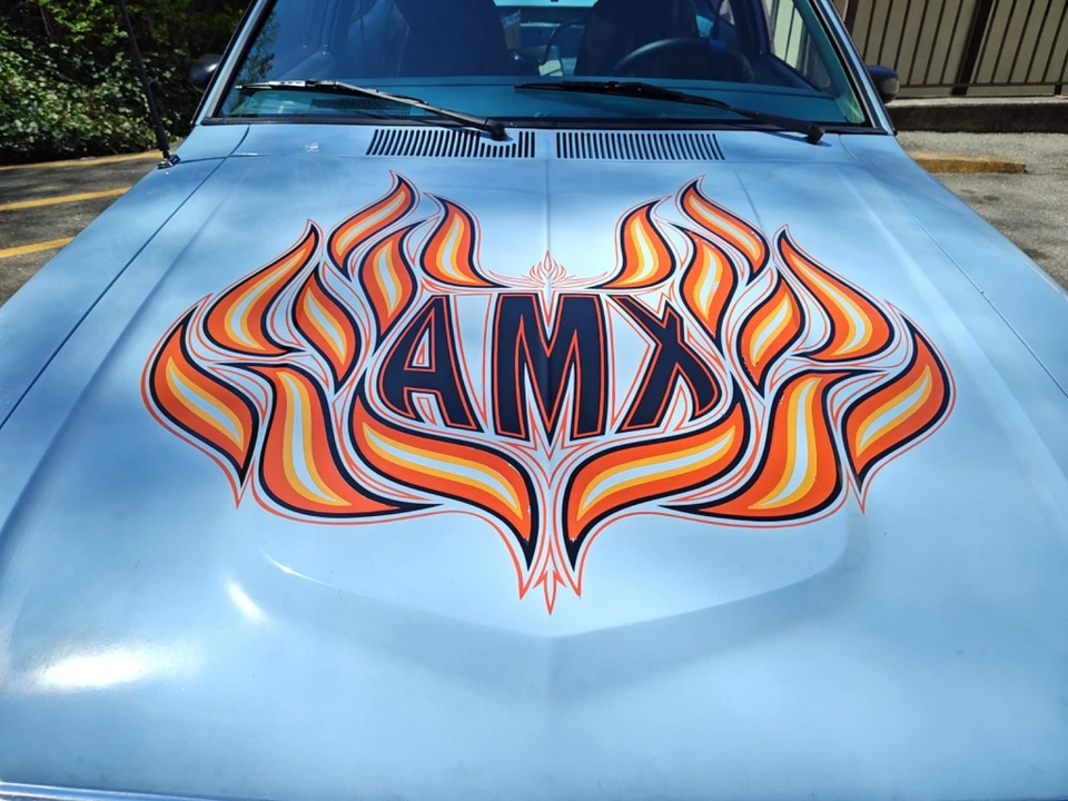 1979 AMC AMX - Image 3 of 24