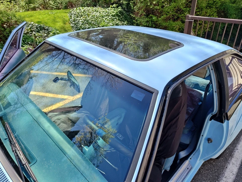 1979 AMC AMX - Image 15 of 24