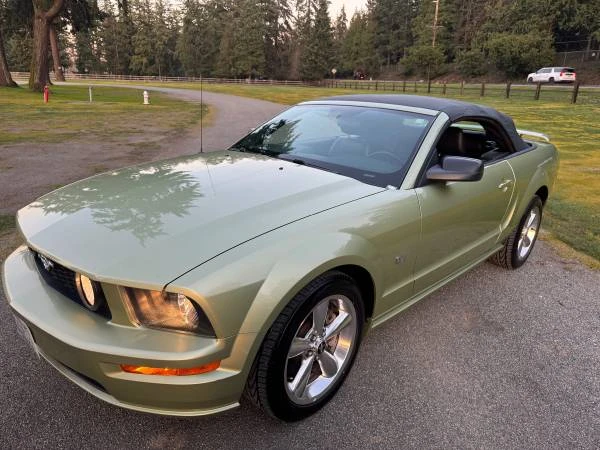 2006 Ford S197 Mustang - Image 8 of 19