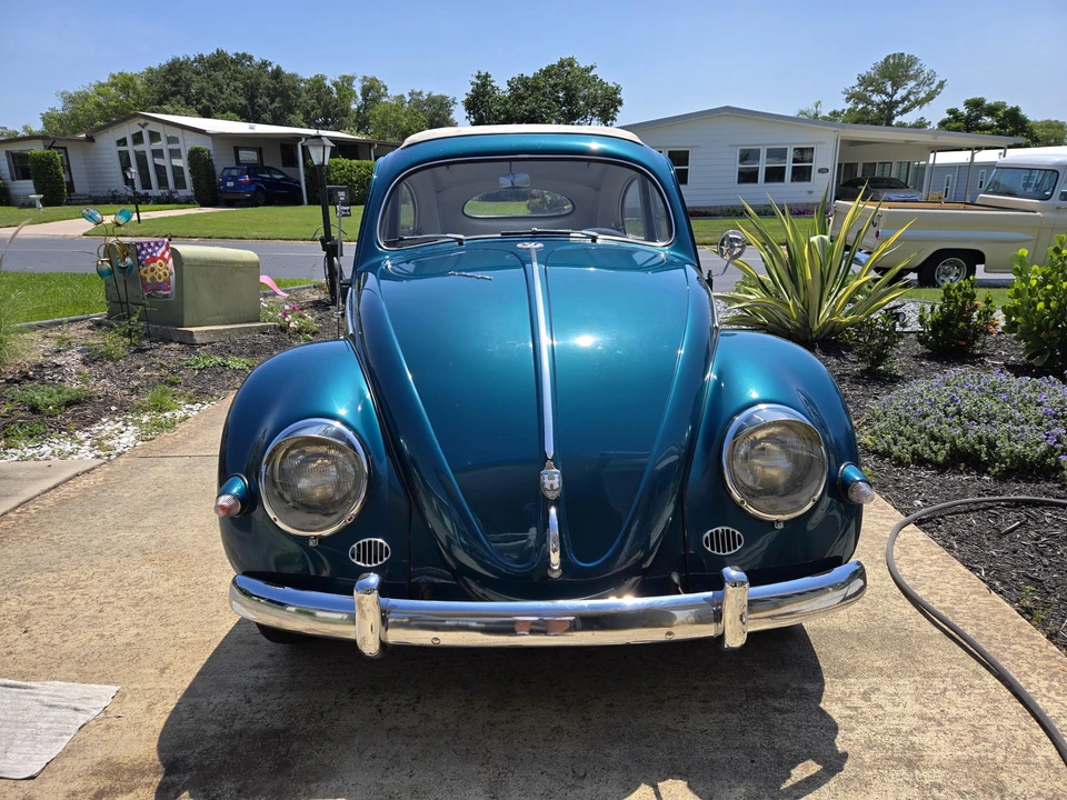 1955 Volkswagen Beetle (Oval Window) - Image 10 of 31
