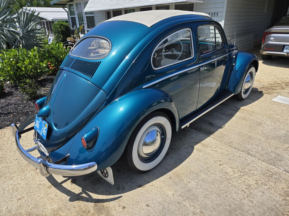 1955 Volkswagen Beetle (Oval Window) - Image 13 of 31