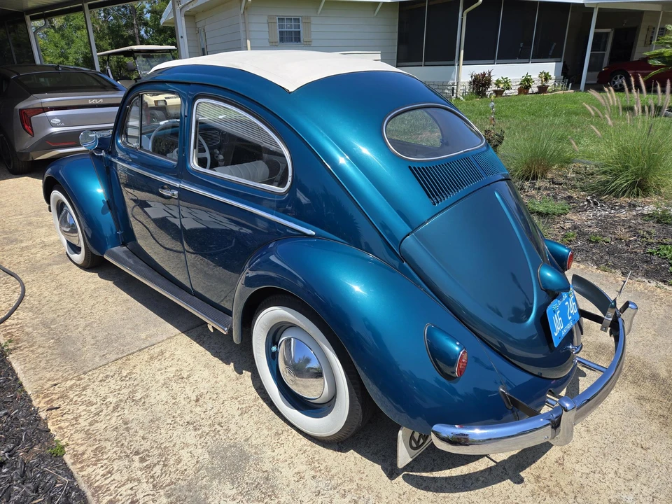 1955 Volkswagen Beetle (Oval Window) - Image 14 of 31