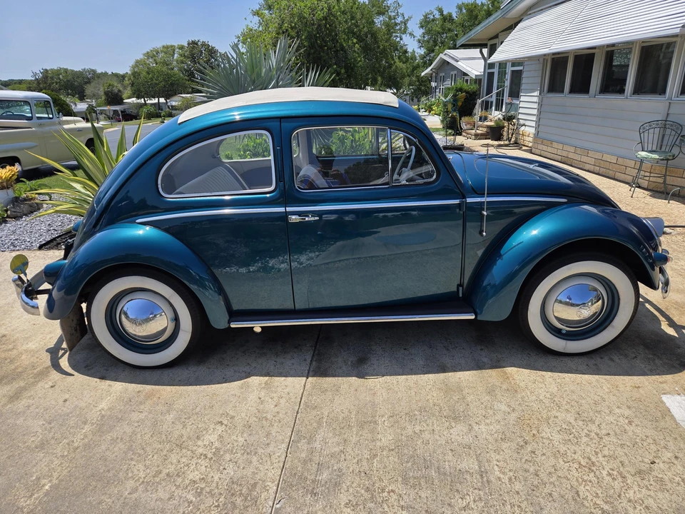 1955 Volkswagen Beetle (Oval Window) - Image 12 of 31