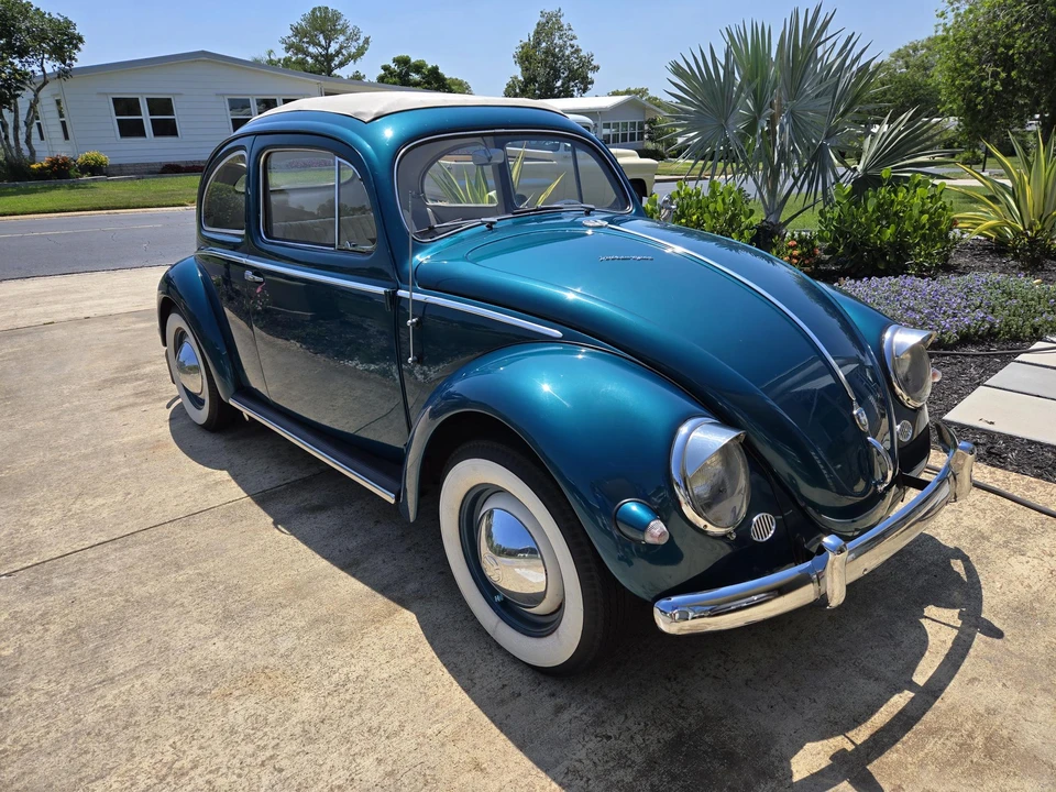 1955 Volkswagen Beetle (Oval Window) - Image 11 of 31