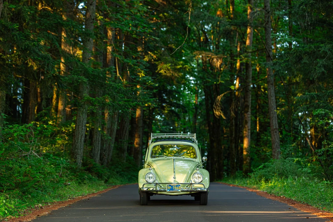 1963 Volkswagen Beetle (1958-1979) - Image 3 of 31