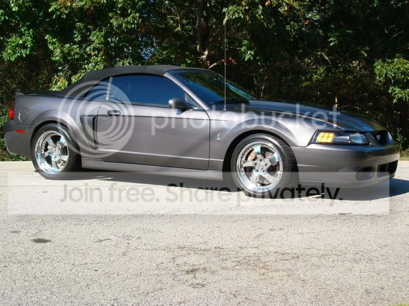 2003 Ford SN95 Mustang Cobra - Image 5 of 6