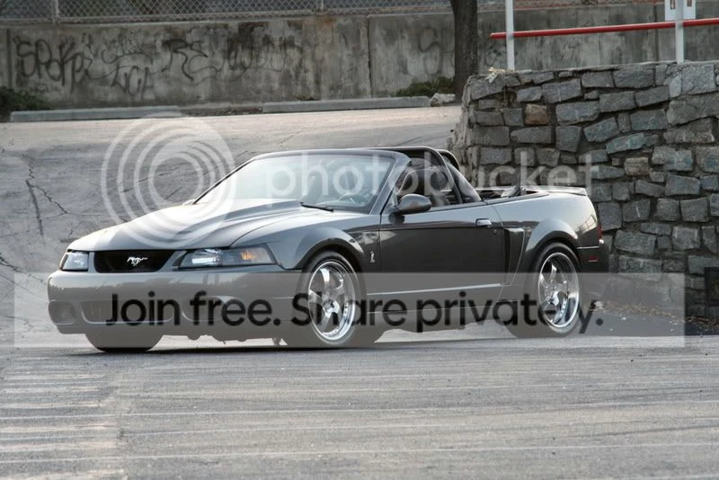 2003 Ford SN95 Mustang Cobra - Image 2 of 6