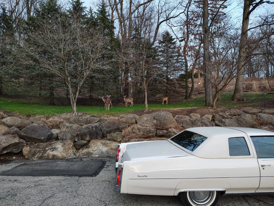 1974 Cadillac DeVille 4th Gen - Image 26 of 31