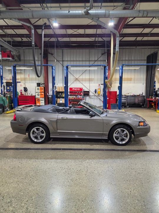 2002 Ford SN95 Mustang - Image 6 of 31