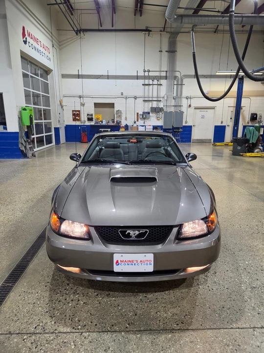 2002 Ford SN95 Mustang - Image 8 of 31