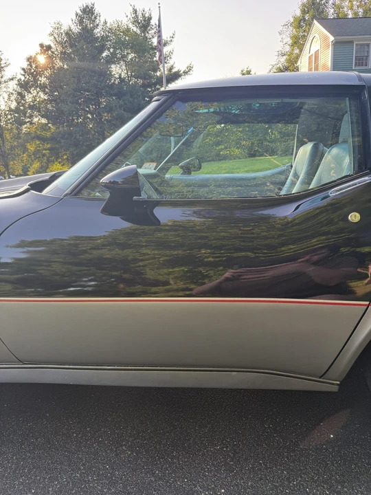 1978 Chevrolet Corvette C3 - Image 28 of 31