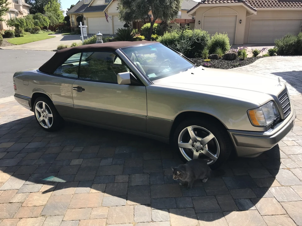 1995 Mercedes-Benz W124 E-Class - Image 16 of 31