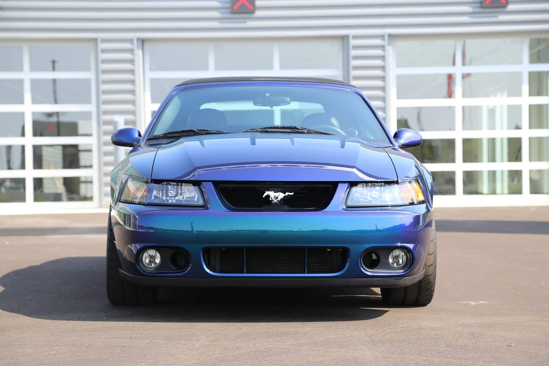 2004 Ford SN95 Mustang Cobra - Image 10 of 31