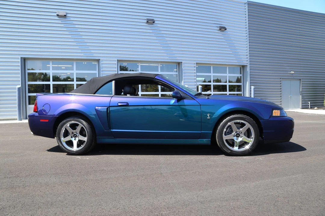 2004 Ford SN95 Mustang Cobra - Image 19 of 31