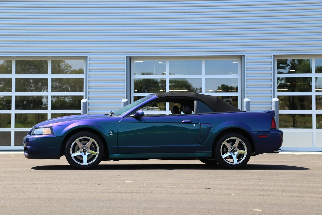 2004 Ford SN95 Mustang Cobra - Image 31 of 31