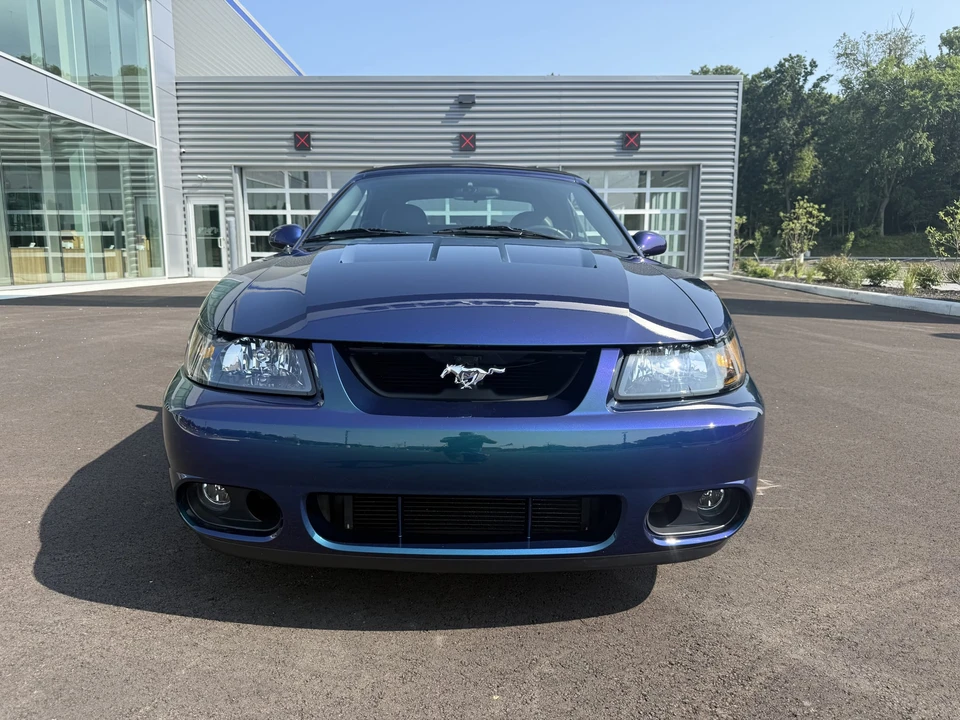 2004 Ford SN95 Mustang Cobra - Image 12 of 31