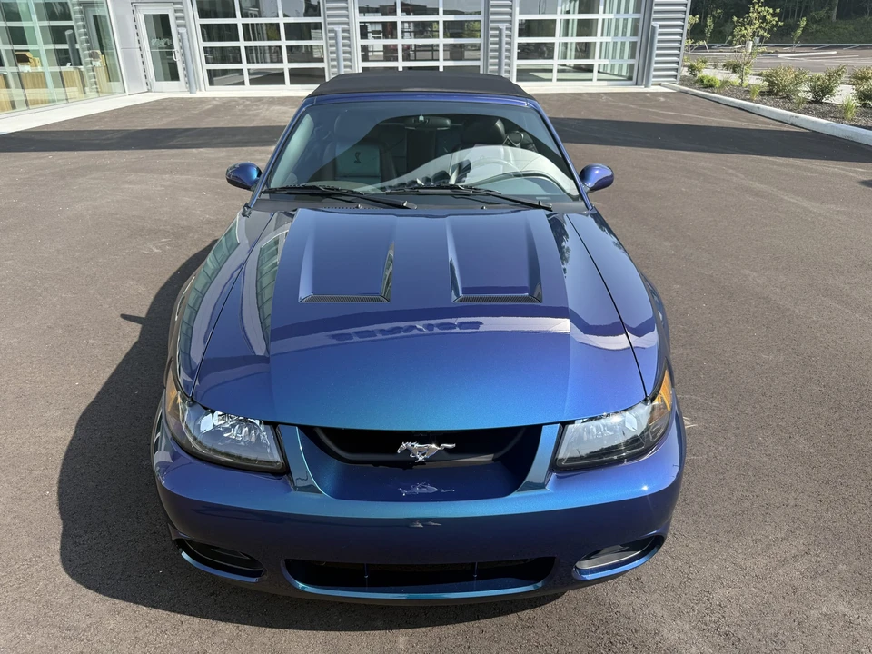 2004 Ford SN95 Mustang Cobra - Image 9 of 31