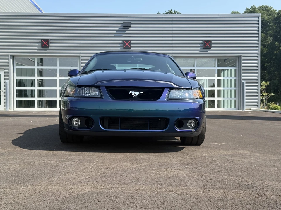 2004 Ford SN95 Mustang Cobra - Image 11 of 31