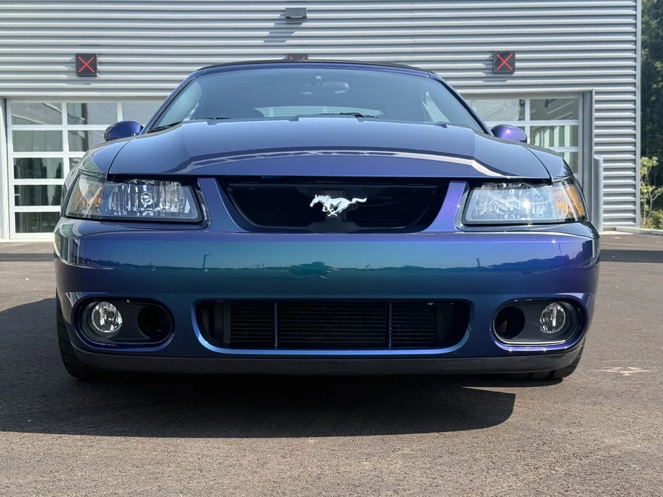 2004 Ford SN95 Mustang Cobra - Image 13 of 31
