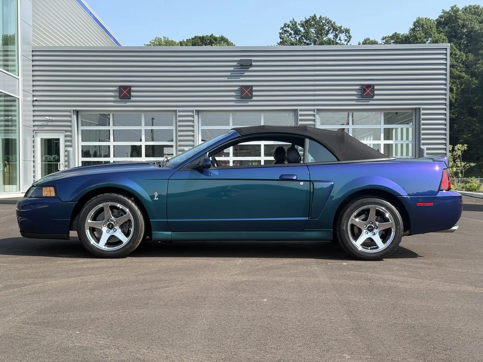 2004 Ford SN95 Mustang Cobra - Image 29 of 31